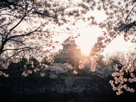 Sunset at Osaka Photo by Satoshi Hirayama:Pexels