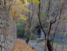 Riverside path in Minoh during fall. Photo by Anahita Honarasa on Unsplash