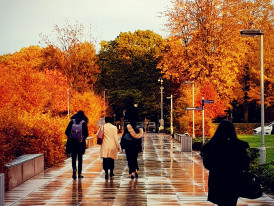 Early morning commuters walking through fallen autumn leaves near Namba Station Photo by Catherine Feather on Unsplash
