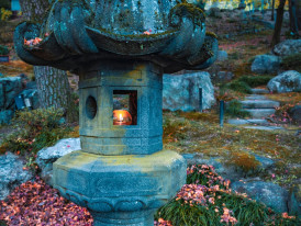 A traditional Japanese garden corner within the castle grounds showing a stone lantern surrounded by colorful leaves Photo by S. Tsuchiya on Unsplash