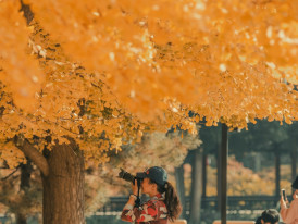 A small group of people sharing tea outdoors in a park setting with autumn foliage creating a colorful backdrop Photo by Cajeo Zhang on Unsplash