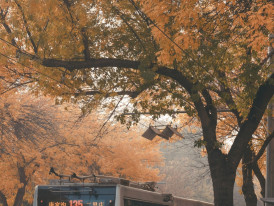 A bus traveling through autumn countryside to reach hiking destinations, with passengers visible inside and beautiful fall foliage outside Photo by Tao Yuan on Unsplash