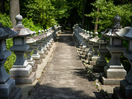 Stone lanterns lining temple pathway Photo by Kouji Tsuru on Unsplash