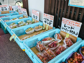Seasonal vegetables and traditional ingredients displayed at market stalls Photo by Markus Winkler on Unsplash