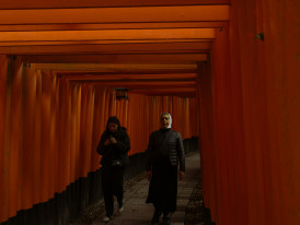 Traveler walking through Fushimi Inari's orange gates with a local host. Photo by Charlie Charoenwattana on Unsplash