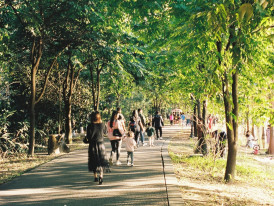  Locals and travelers strolling together through Maruyama Park Photo by Cloris Chou on Unsplash