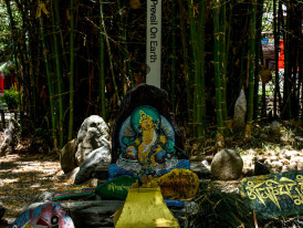 A quiet moment at a small, secluded shrine surrounded by greenery, with a guide showing guests how to make an offering Photo by Surya Janwed on Unsplash