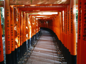 Endless vermillion torii gates forming tunnel up mountain path Photo by Falco Negenman on Unsplash