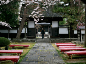 Local resident praying at neighborhood shrine during cherry blossom season. Photo by i k on Unsplash