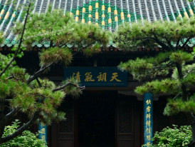 Tenryu-ji temple entrance with bamboo background. Photo by · 冷毛 on Unsplash