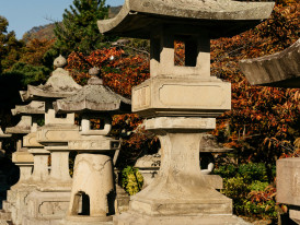 Japanese garden at Nijo Castle with stone lanterns. Photo by Markus Winkler on Unsplash