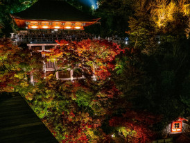 Night view of a lantern-lit garden during autumn Photo by YANGHONG YU on Unsplash