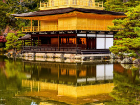 A serene early morning view of Kyoto's Kinkaku-ji temple, with golden reflections in the mirror-like pond Photo by AXP Photography on Unsplash