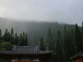 Morning mist rising from traditional wooden buildings in Kyoto Photo by Mir Ali on Unsplash