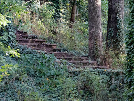 Ancient wooden temple stairs disappearing into forest Photo by Luba Ertel on Unsplash