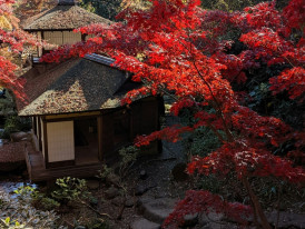 Small temple building nestled among autumn-colored trees Photo by Kenji Kitabayashi on Unsplash
