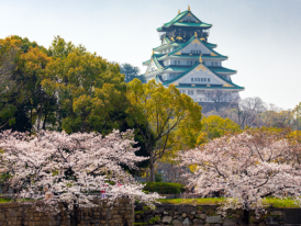 Early morning at Osaka Castle