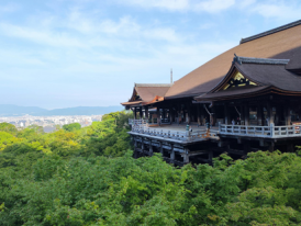 Visitors take in expansive city views from a historic hillside structure surrounded by seasonal foliage