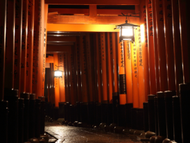Tori Gates in Fushimi Inari Shrine at Night