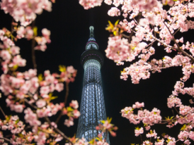 View of Skytree at night