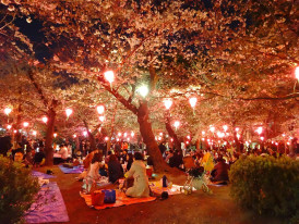 Night Hanami Picnics. Photo by KKPCW via Wikicommons