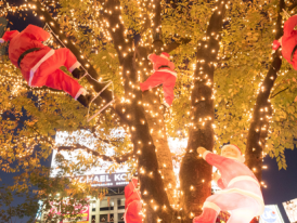 Christmas Illuminations in Shibuya