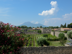 Boscoreale Pompeii ruins and vineyard