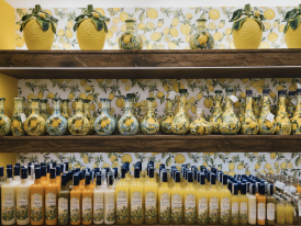 Learning at a Lemon Factory: Cultural Experiences for Kids