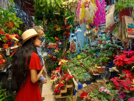 The Mercado Jamaica market flower stalls