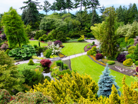 Queen Elizabeth Quarry garden with flowers and waterways