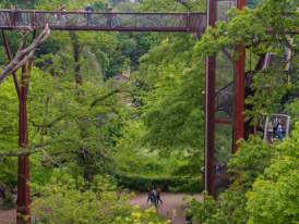 Kew Gardens Treetop Walkway