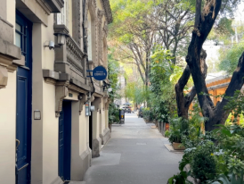 Sidewalk in Trendy Roma Norte