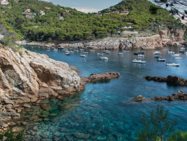pine-framed cove on the Costa Brava with turquoise water