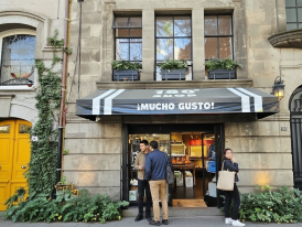 Tree-lined walking street in Condesa with boutique shops