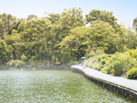 Morning path by the lake at Singapore Botanic Gardens