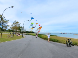 Peaceful cycling route along the Park Connector Network