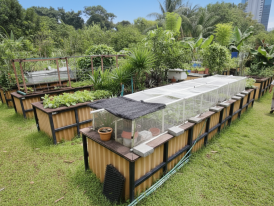 Community garden tucked under HDB flats