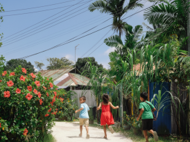 Rustic wooden homes in Kampong Lorong Buangkok with lush greenery