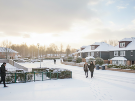 Dublin neighbourhood in winter
