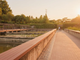 Dawn light over converted filtration tanks at Seonyudo Park