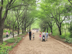 Families and people along Seoul Forest's tree-lined paths 