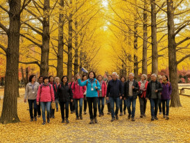 Crowded tree-lined path at Nami Island with tour groups, mid-morning light