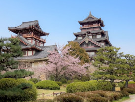 Fushimi Momoyama Castle on a quiet hilltop framed by blooming cherry trees