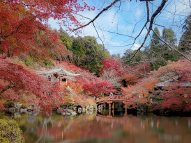 Still pond at Daigo-Ji reflecting seasonal trees and temple buildings