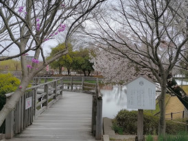 Wooden walkway winding through Nagaoka Tenmangu