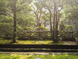 Sunlit temple garden path in Kyoto with moss and trees