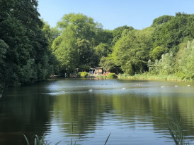 Swimmers at Hampstead Heath mixed pond
