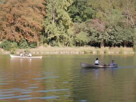 Lake and rowboats at Bois de Vincennes on sunny afternoon