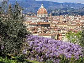 Wisteria-covered pergola at Bardini Gardens overlooking Florence rooftops