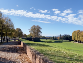 Tree-lined path on top of Lucca's Renaissance walls